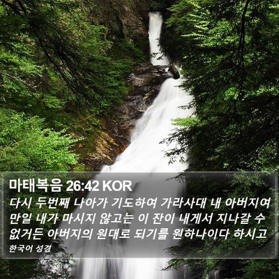 마태복음 26:42 KOR Bible Verse Image