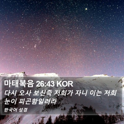 마태복음 26:43 KOR Bible Verse Image
