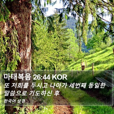 마태복음 26:44 KOR Bible Verse Image