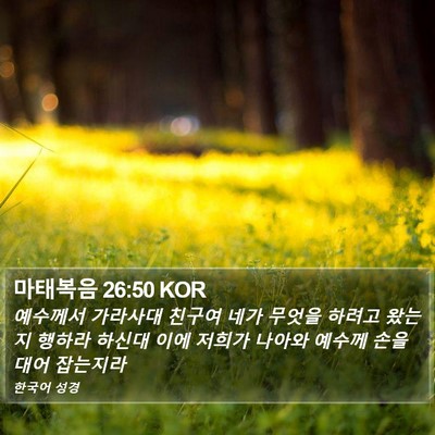 마태복음 26:50 KOR Bible Verse Image