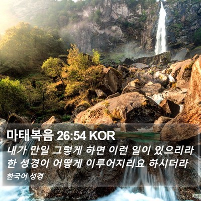 마태복음 26:54 KOR Bible Verse Image