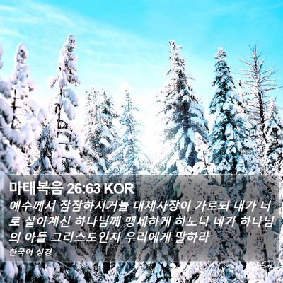 마태복음 26:63 KOR Bible Verse Image