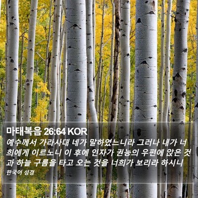 마태복음 26:64 KOR Bible Verse Image