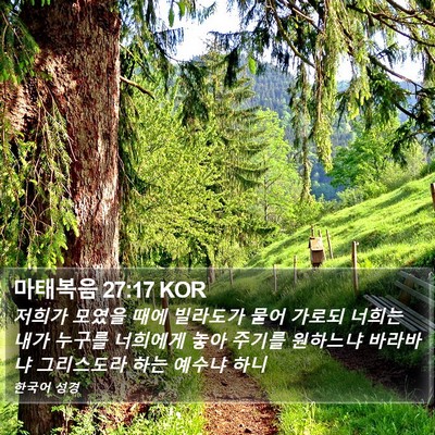 마태복음 27:17 KOR Bible Verse Image