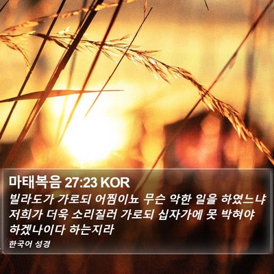 마태복음 27:23 KOR Bible Verse Image