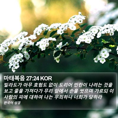 마태복음 27:24 KOR Bible Verse Image