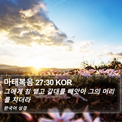 마태복음 27:30 KOR Bible Verse Image