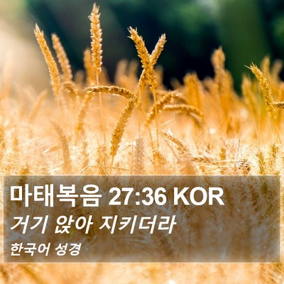 마태복음 27:36 KOR Bible Verse Image