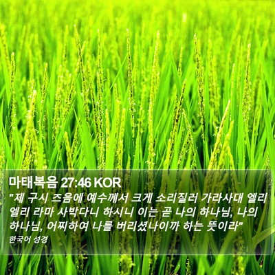 마태복음 27:46 KOR Bible Verse Image
