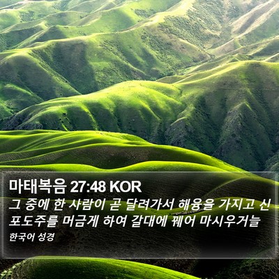 마태복음 27:48 KOR Bible Verse Image