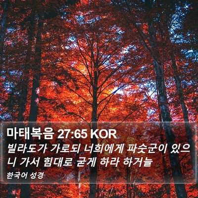 마태복음 27:65 KOR Bible Verse Image