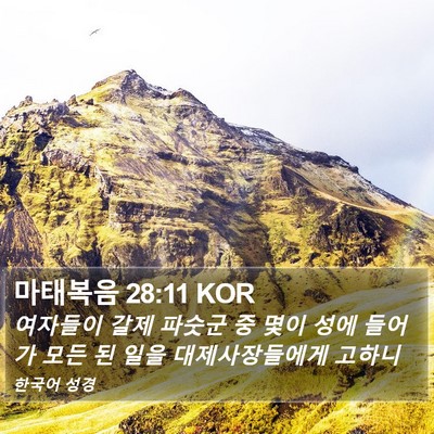 마태복음 28:11 KOR Bible Verse Image