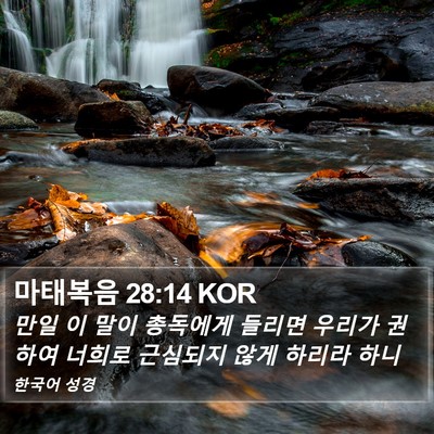 마태복음 28:14 KOR Bible Verse Image