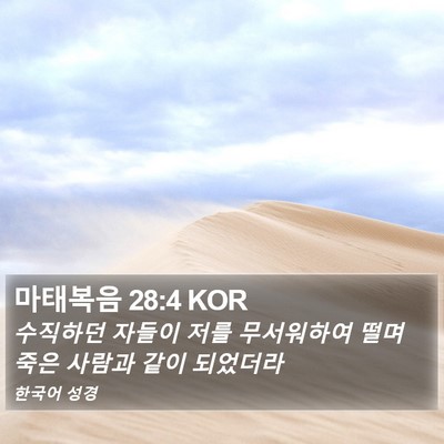 마태복음 28:4 KOR Bible Verse Image