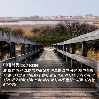 마태복음 28:7 KOR Bible Verse Image
