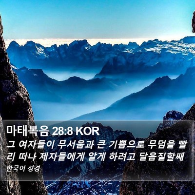 마태복음 28:8 KOR Bible Verse Image