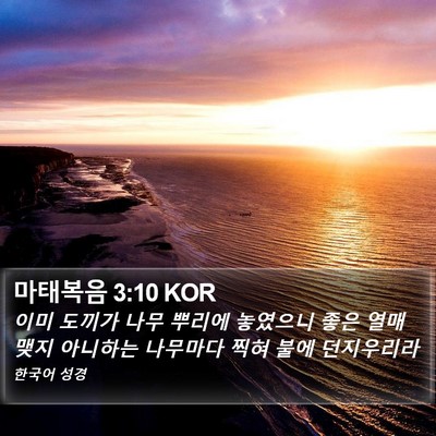 마태복음 3:10 KOR Bible Verse Image