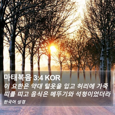 마태복음 3:4 KOR Bible Verse Image