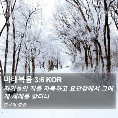 마태복음 3:6 KOR Bible Verse Image