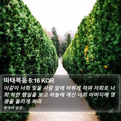 마태복음 5:16 KOR Bible Verse Image