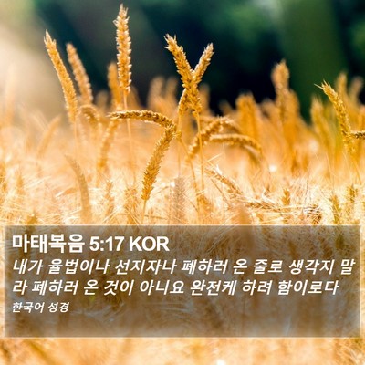 마태복음 5:17 KOR Bible Verse Image