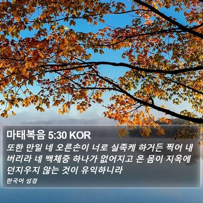 마태복음 5:30 KOR Bible Verse Image