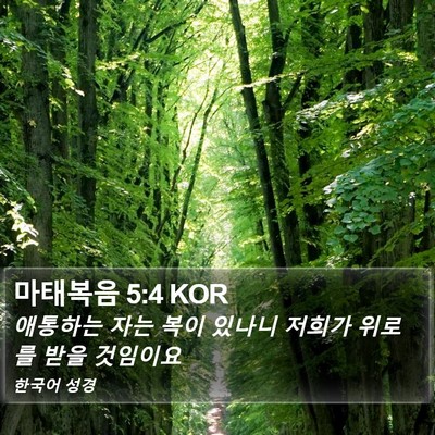 마태복음 5:4 KOR Bible Verse Image