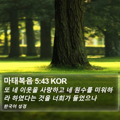 마태복음 5:43 KOR Bible Verse Image