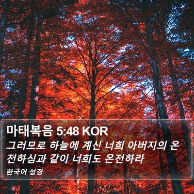 마태복음 5:48 KOR Bible Verse Image