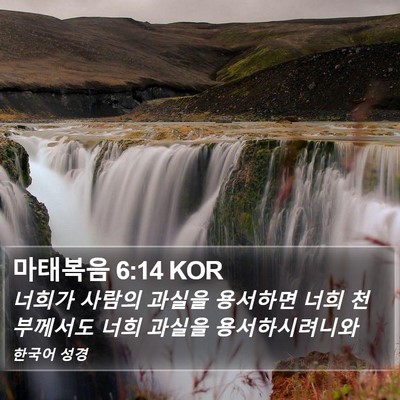 마태복음 6:14 KOR Bible Verse Image