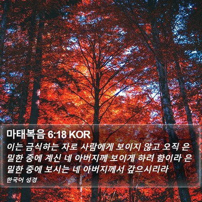 마태복음 6:18 KOR Bible Verse Image