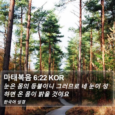 마태복음 6:22 KOR Bible Verse Image