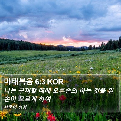 마태복음 6:3 KOR Bible Verse Image
