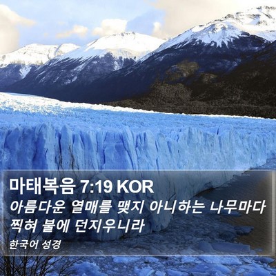마태복음 7:19 KOR Bible Verse Image