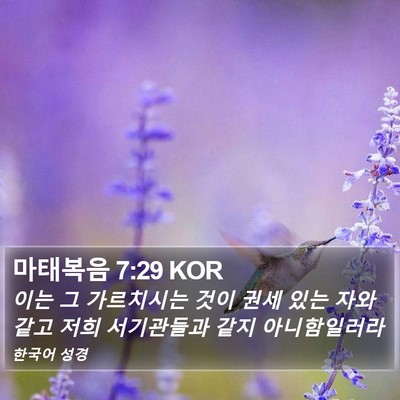 마태복음 7:29 KOR Bible Verse Image