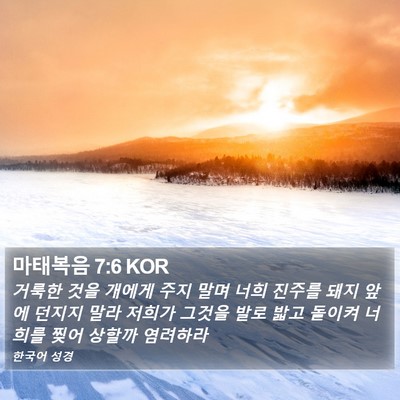 마태복음 7:6 KOR Bible Verse Image
