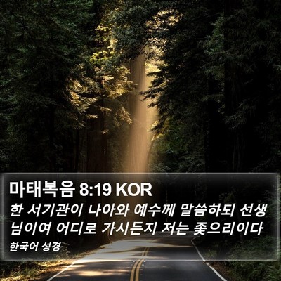 마태복음 8:19 KOR Bible Verse Image