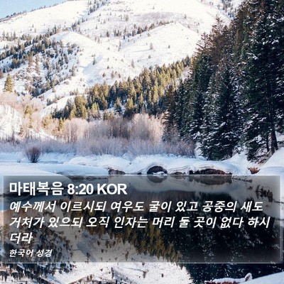 마태복음 8:20 KOR Bible Verse Image