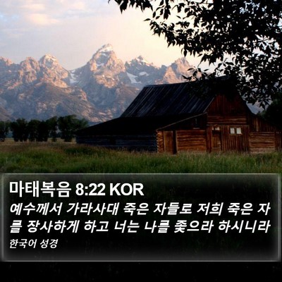 마태복음 8:22 KOR Bible Verse Image