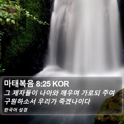 마태복음 8:25 KOR Bible Verse Image