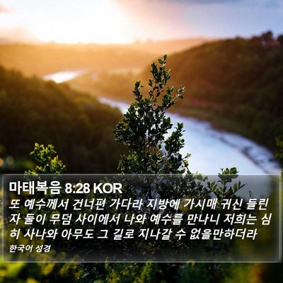 마태복음 8:28 KOR Bible Verse Image