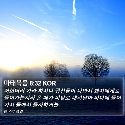 마태복음 8:32 KOR Bible Verse Image