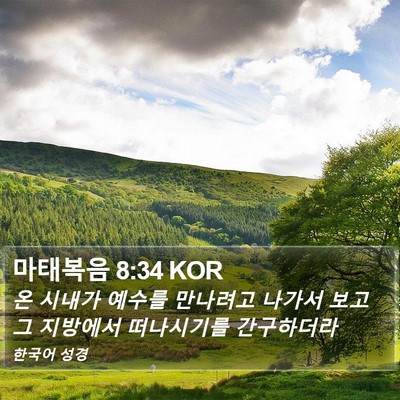 마태복음 8:34 KOR Bible Verse Image