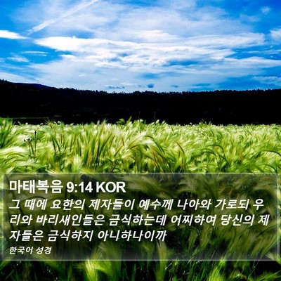 마태복음 9:14 KOR Bible Verse Image