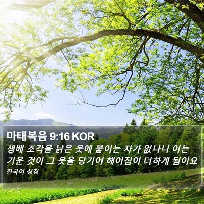 마태복음 9:16 KOR Bible Verse Image