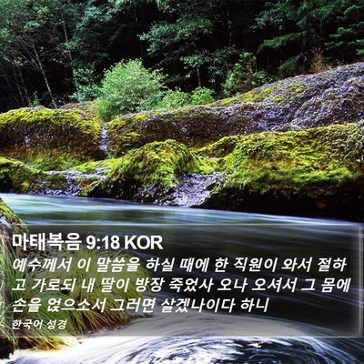 마태복음 9:18 KOR Bible Verse Image