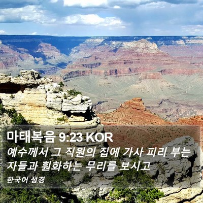 마태복음 9:23 KOR Bible Verse Image