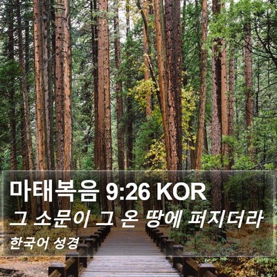 마태복음 9:26 KOR Bible Verse Image