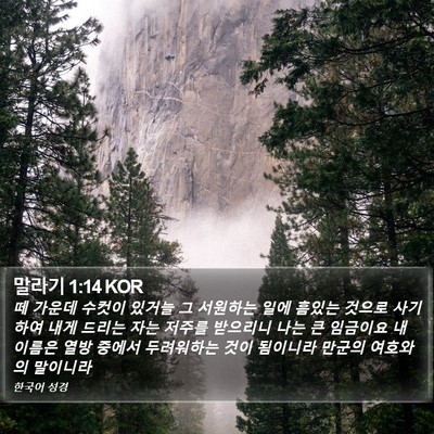 말라기 1:14 KOR Bible Verse Image