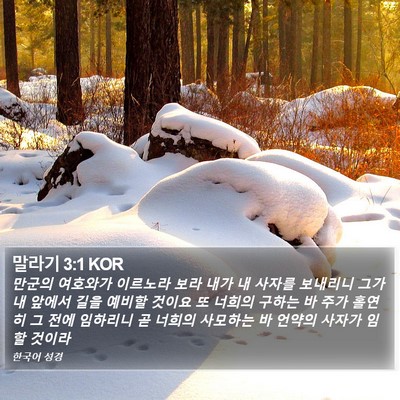 말라기 3:1 KOR Bible Verse Image